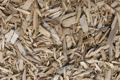 biomass boilers Deerstones